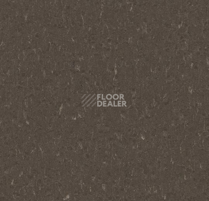 Линолеум Forbo Marmoleum Solid Piano 3632- 363235 sealion фото 1 | FLOORDEALER